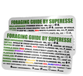 Foraging Guide Decal - Plants and Edibles Quick Identification Reference