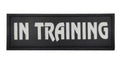 In Training Reflective - Leather Patch