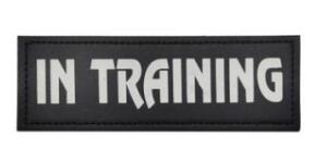 In Training Reflective - Leather Patch