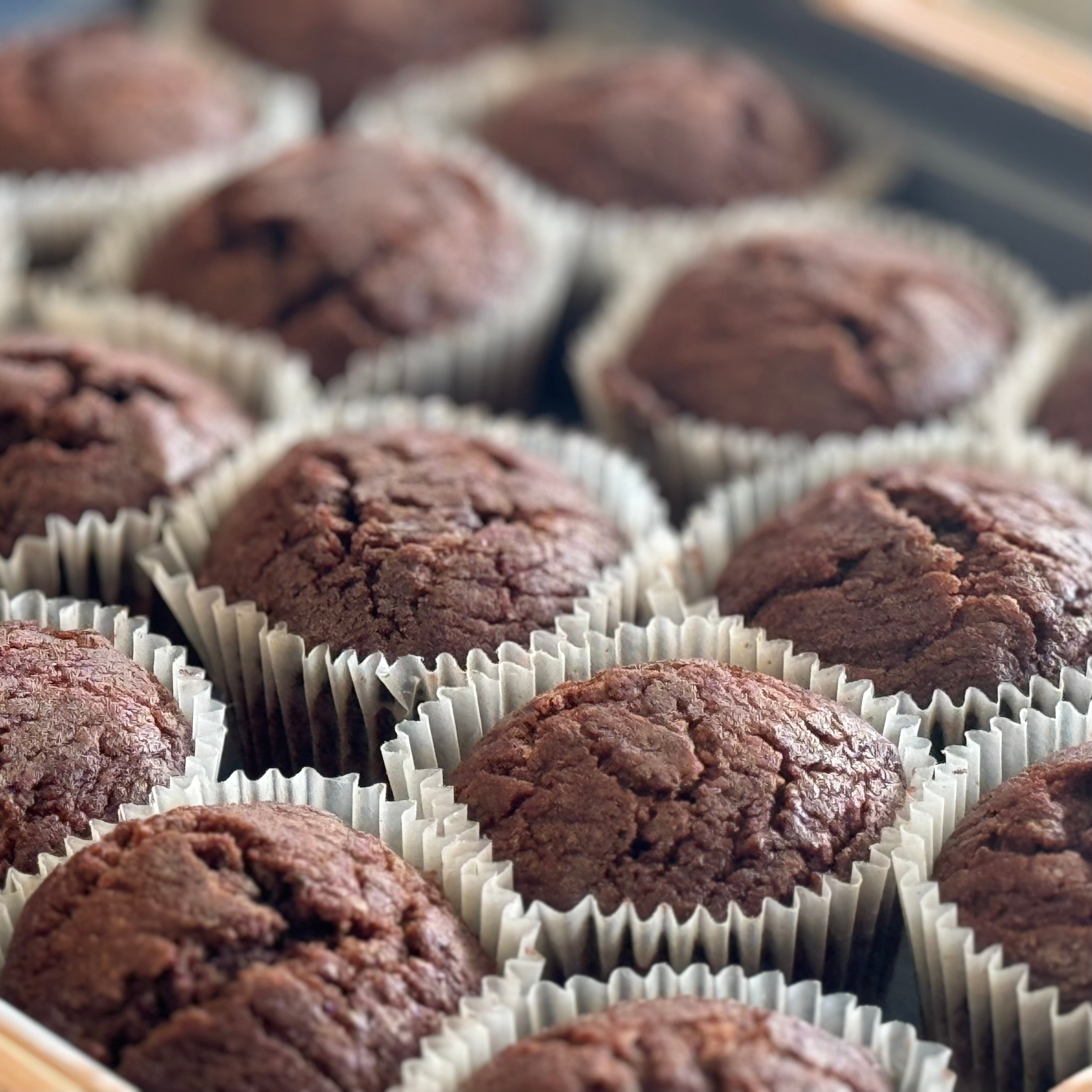 BULK 12 x Tray Packs, Military MRE Chocolate Muffin, Ready to Eat (UGR Component)