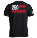 America 250 Years Anniversary Flag