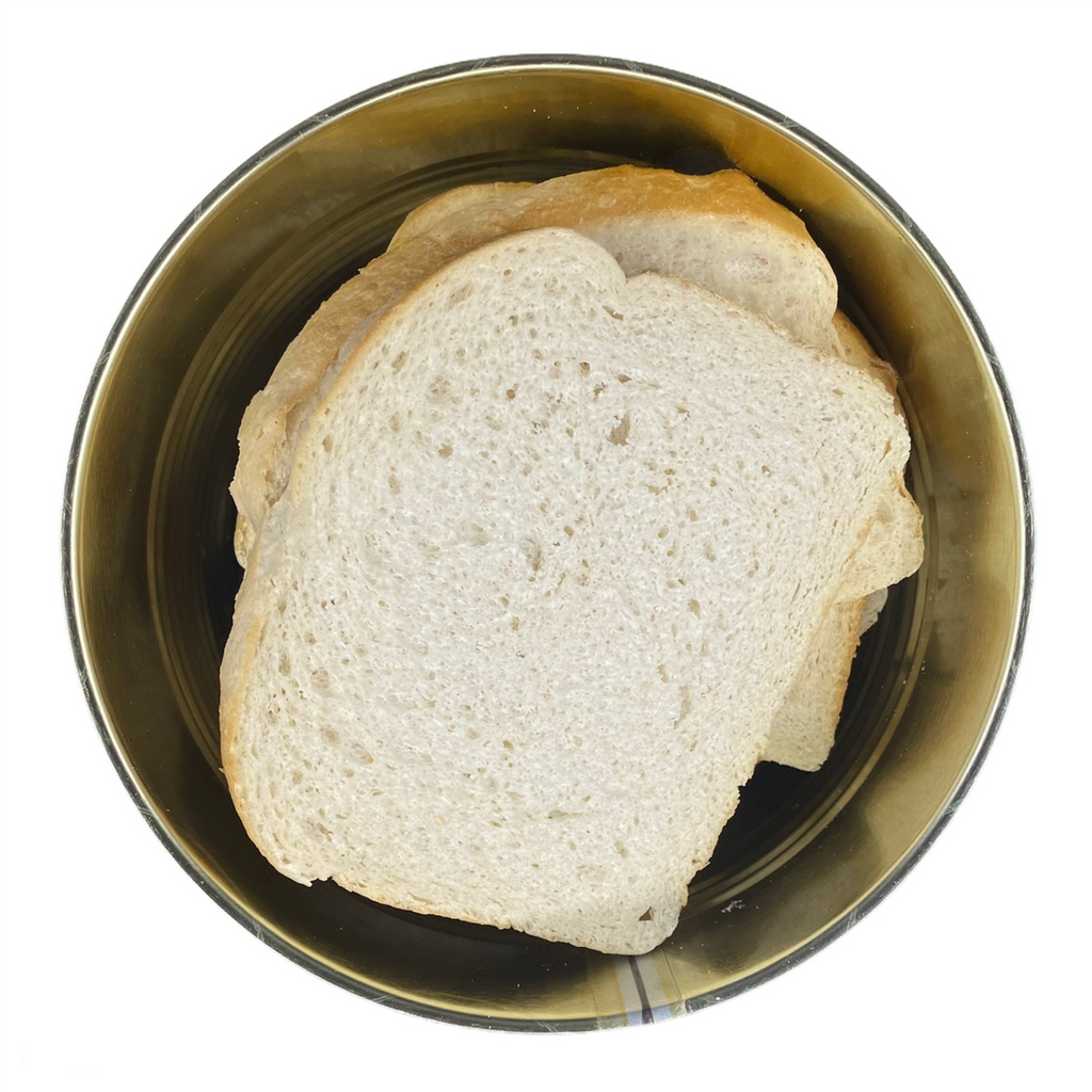 Military Surplus Freeze Dried Sourdough Bread