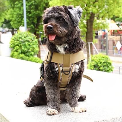 Tactical K9 Harness - Minimalist - Red