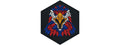Hexagon PVC Patch Eagle Face