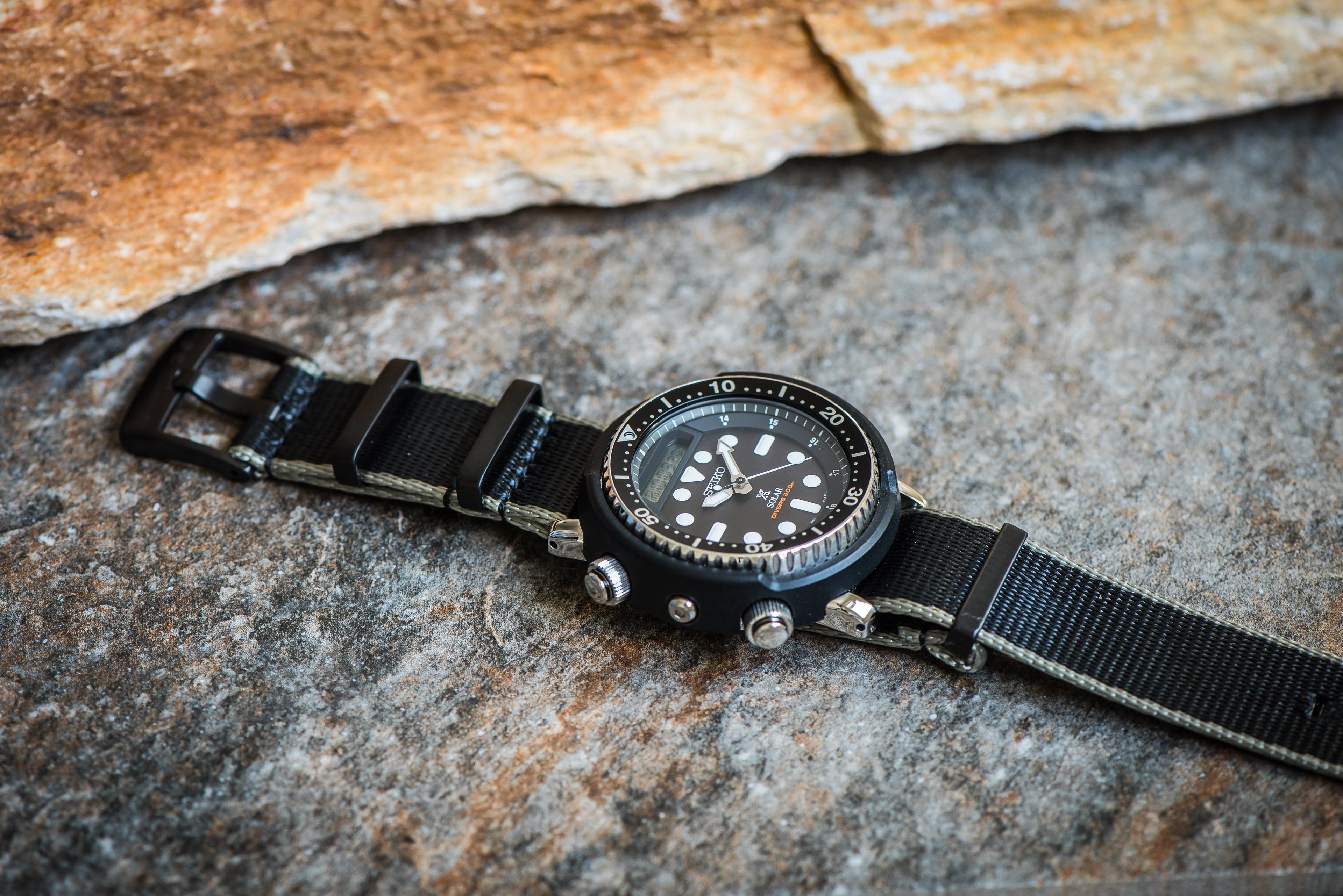 AlphaShark - Black & Silver