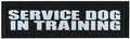 Service Dog In Training Glow In The Dark - Leather Patch